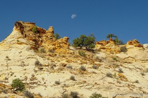The moon sets over white and yellow rock formations. 