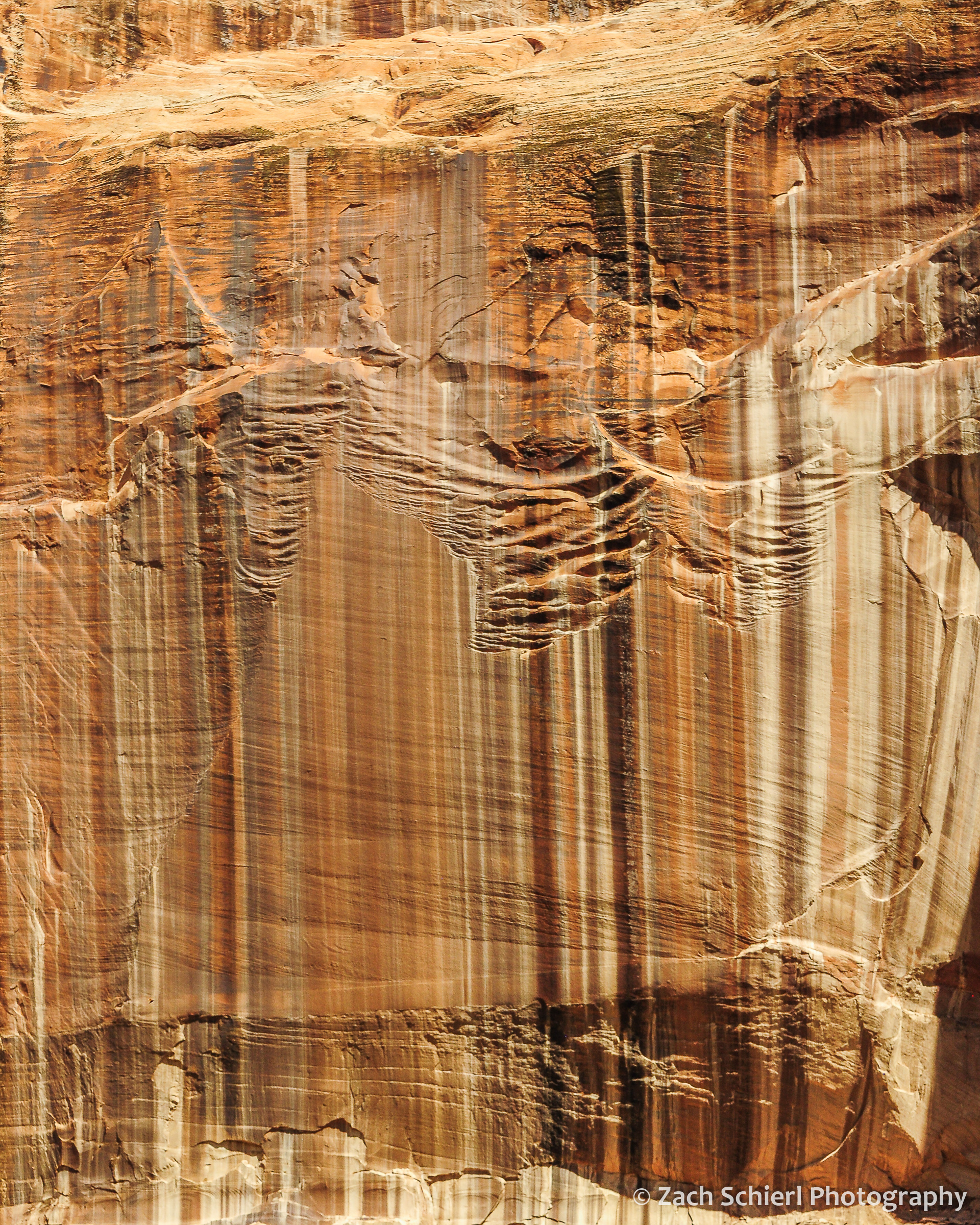 Various colors of brown, tan, and black desert varnish on the sandstone cliffs.