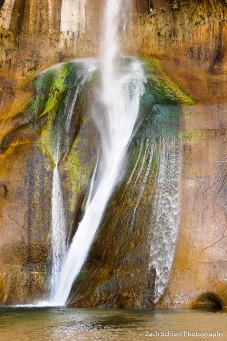 Green moss clinging to a sandstone cliff beneath the waterfalls.