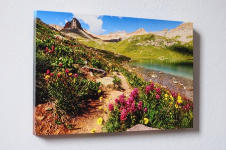 Canvas print hung on wall. 