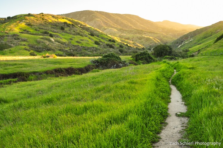 A trail passes through dense green grass with sunset-lit mountains in the background