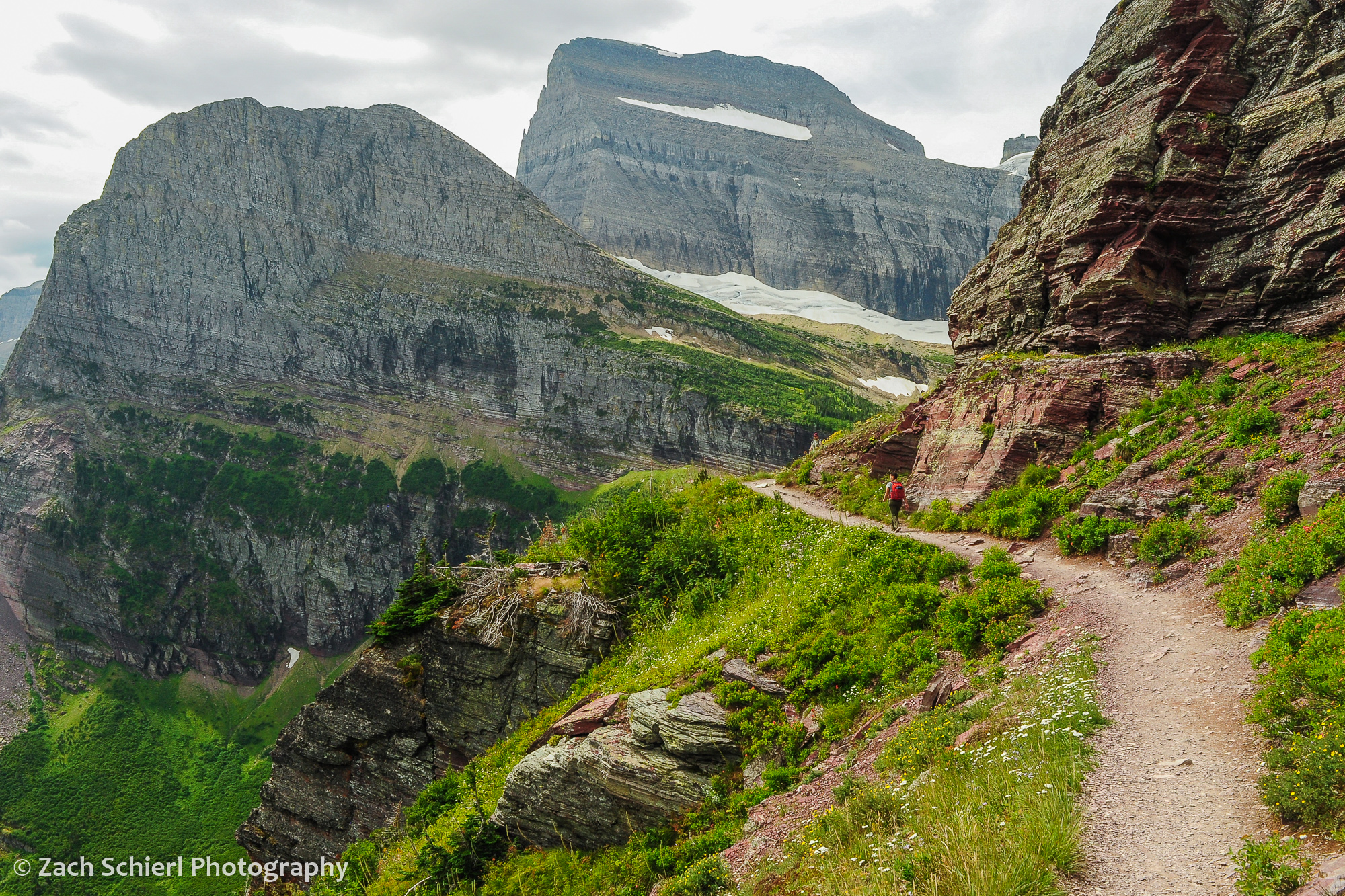 A hiker climbs a steep trail surrounded by green vegetation and wildflowers with large mountains in the background.