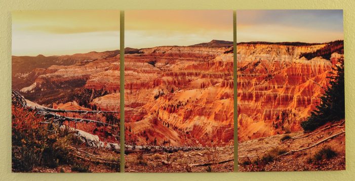 Three panel fine art metallic photographic print