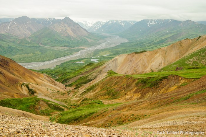A landscape of barren rock, green vegetation, and distant glaciers and snowy peaks