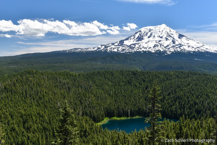 A tall mountain capped with snow and ice is surrounded by dense, dark green forests and a dark blue lake.