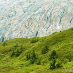 White and blue glacial ice contrasts with lush green carpet of vegetation