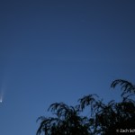 A comet with a bright nucleus and long tail appears in the pre-dawn sky.