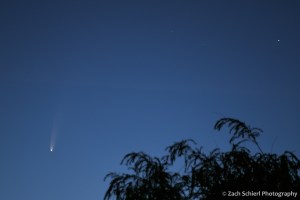 A comet with a bright nucleus and long tail appears in the pre-dawn sky.