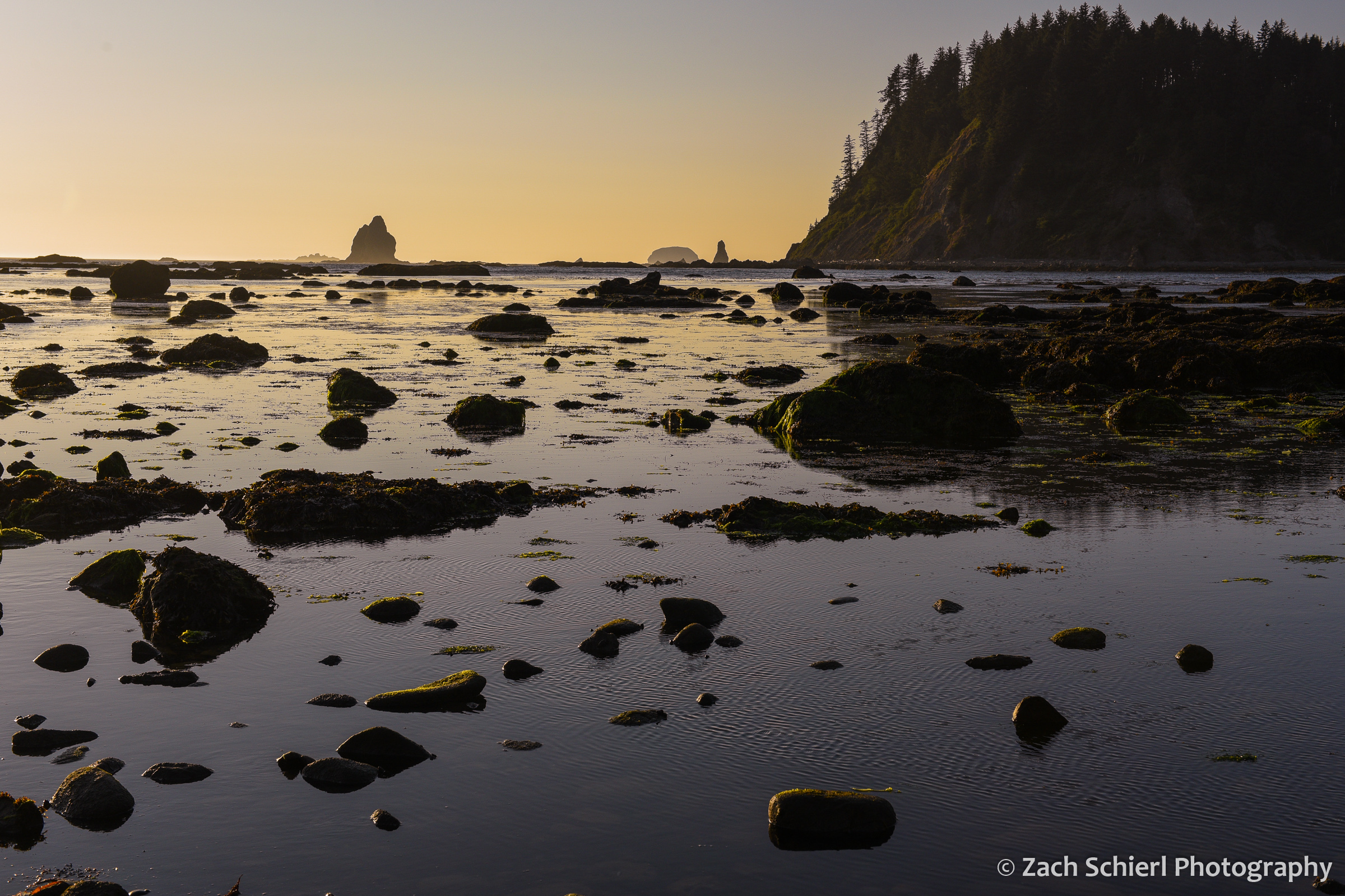 Orange and purple light is reflected in the calm waters of the ocean surface at sunset.