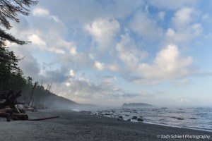 White puffy clouds dot the sky over a long sandy beach