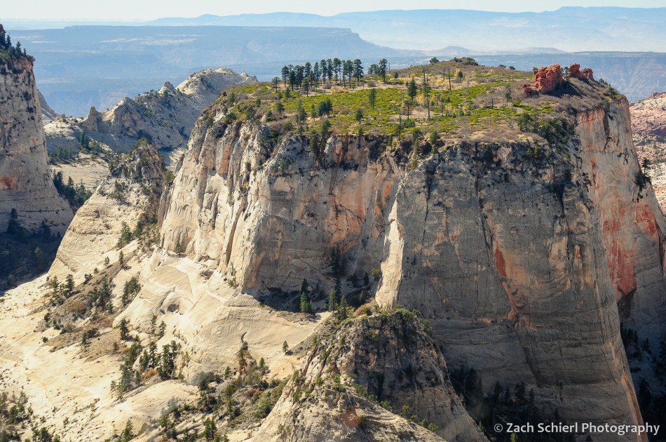 An isolated mesa dotted with trees is perched above cliffs of white sandstone