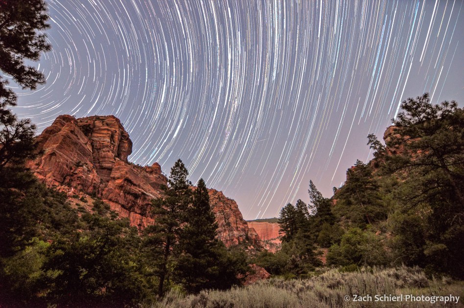 stars streak across a purple sky, with cliffs of red rock and lots of trees in a canyon below