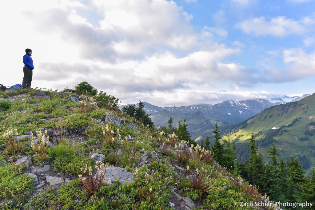 A hiker stands atop a ridge looking out onto grassy meadows and mountains