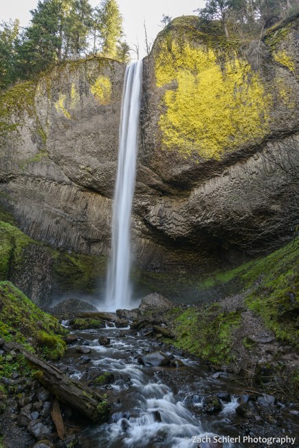 A thin waterfall plunges from a cliff of volcanic rock and covered in bright green mosses.