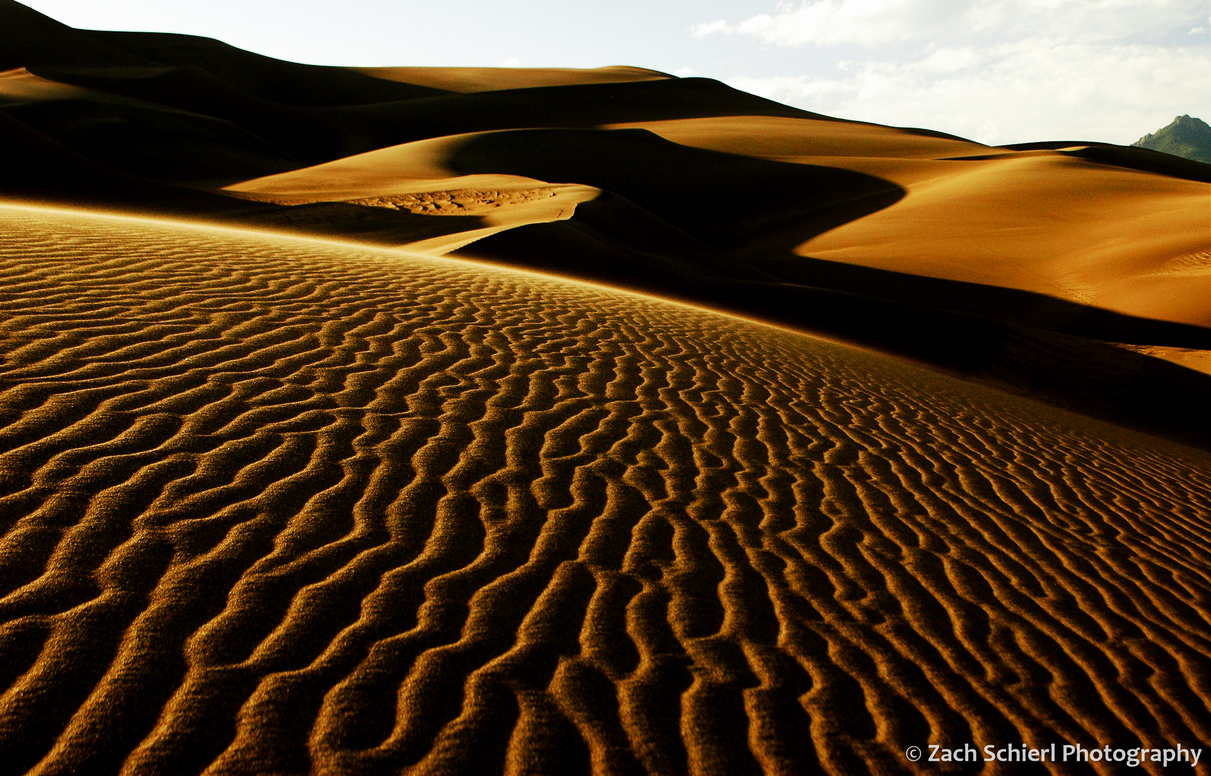Ripples in the sand are highlighted by the setting sun.