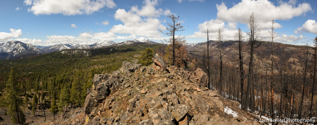 A rocky ridge with forest on both sides. The forest on the right has been burned by a wildfire, while the trees on the left remain green.