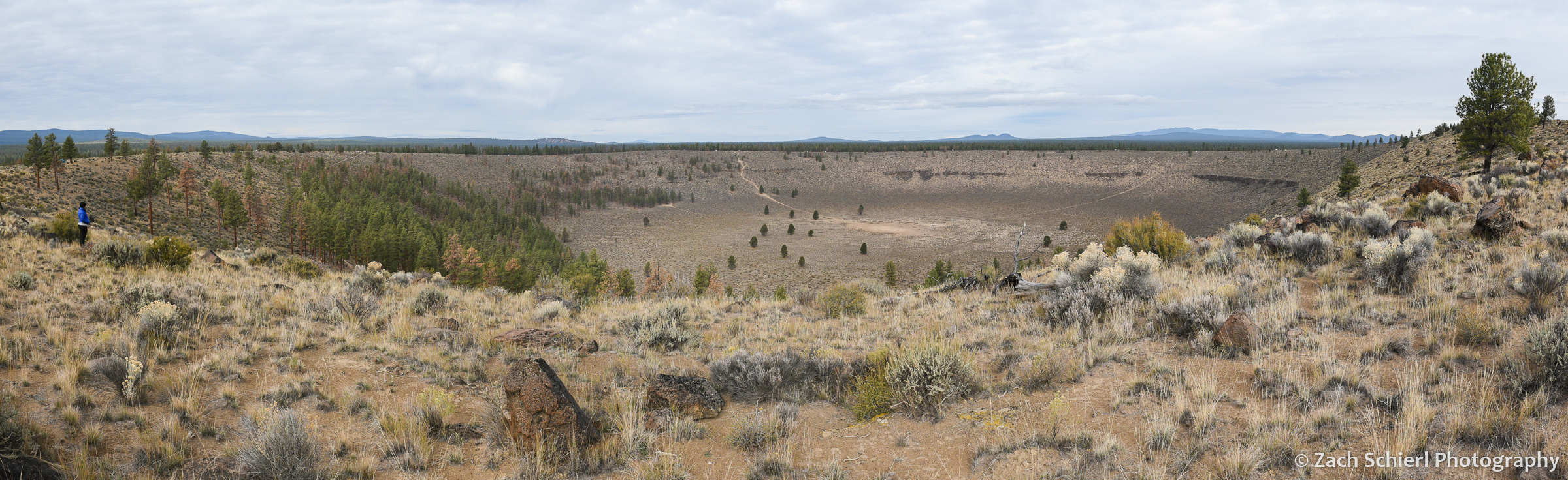 A circular depression in the landscape with scattered pine trees on its flanks