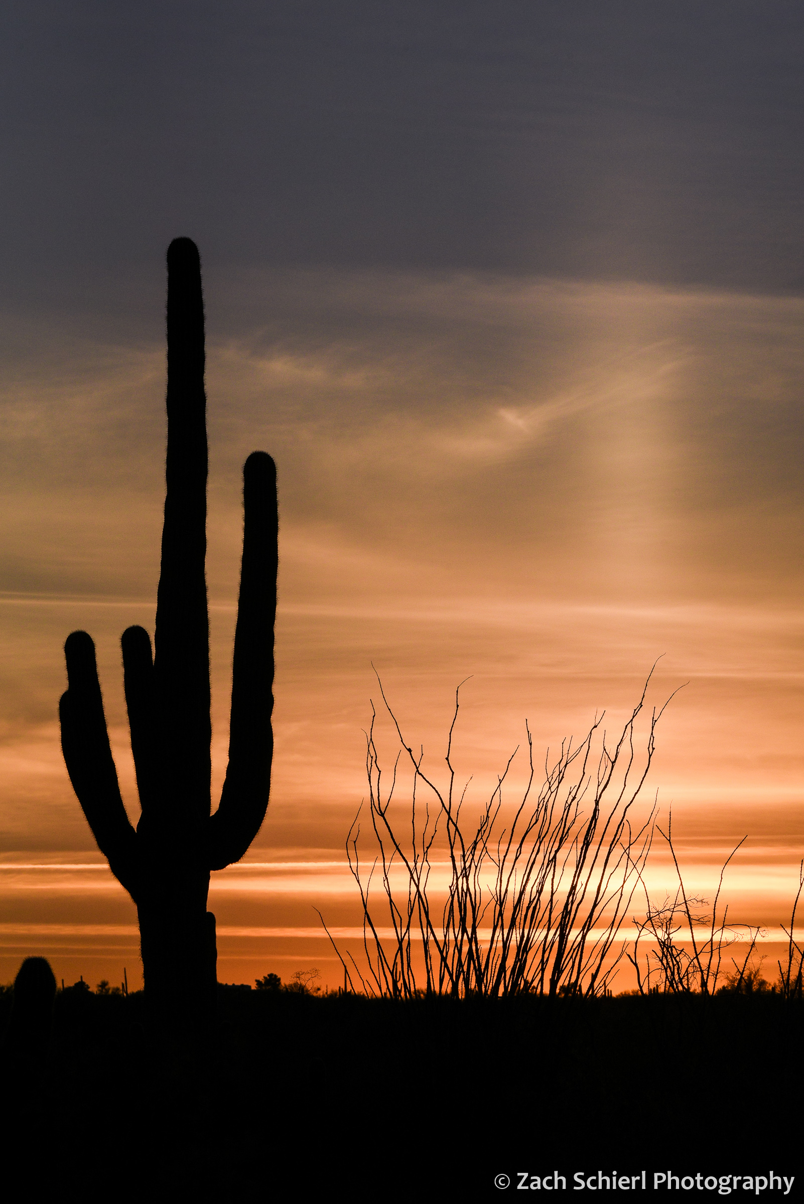The silhouette of a saguaro cactus with several arms is superimposed against an orange sunset sky. A vertical pillar of light is seen in the sky alongside the cactus.